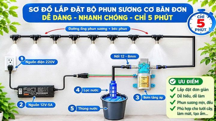Combo bộ phun sương 5 béc bơm OM1521